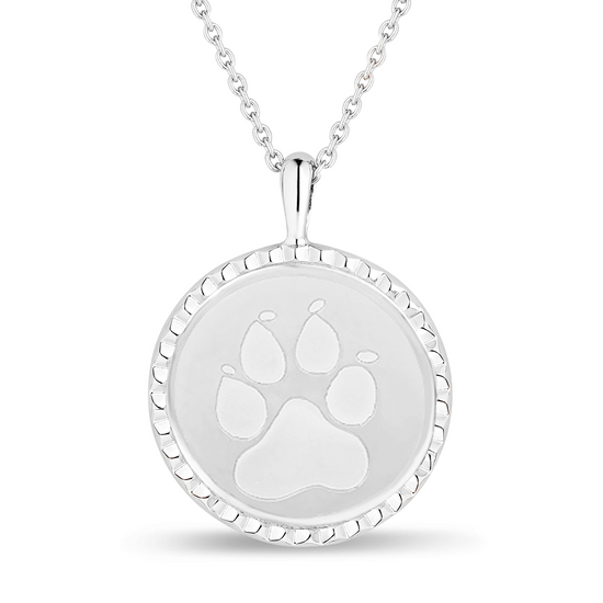 The Compass For Pet Moms 14K Solid Gold