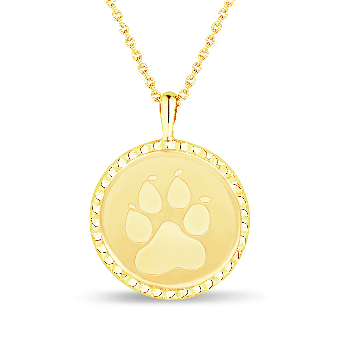 The Compass For Pet Moms 14K Solid Gold